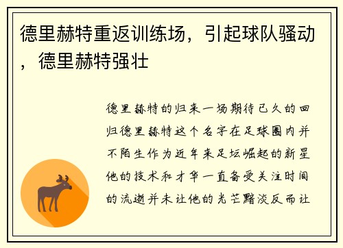 德里赫特重返训练场，引起球队骚动，德里赫特强壮