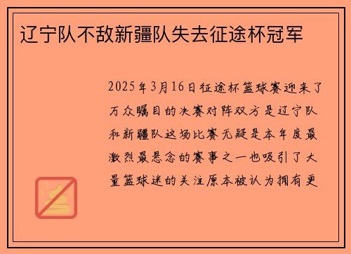 辽宁队不敌新疆队失去征途杯冠军